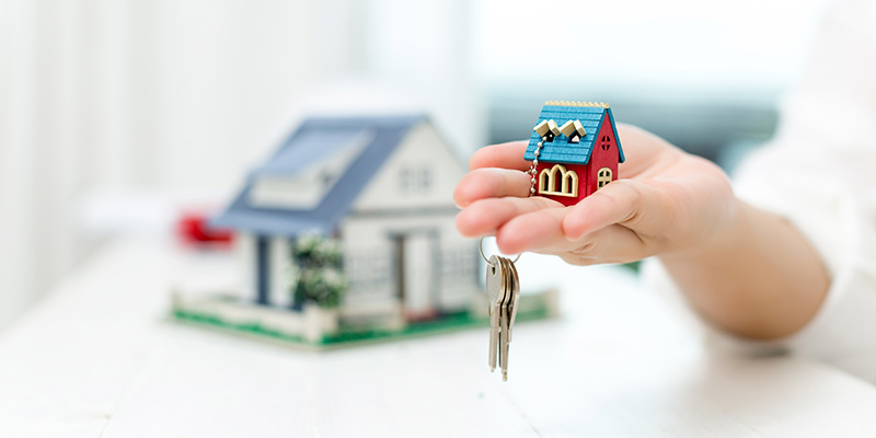 https://spanishmosshomebuyers.com/