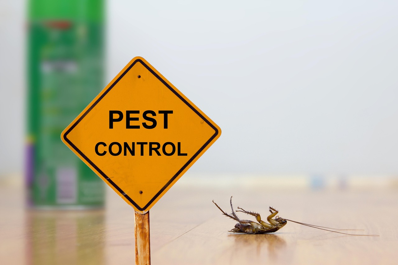 Preventing pests helps you keep your property free from unwelcome visitors