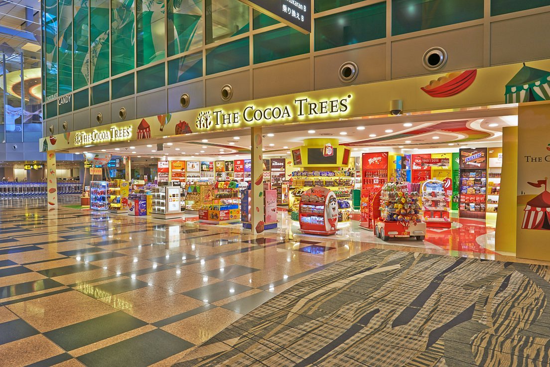 The Cocoa Trees