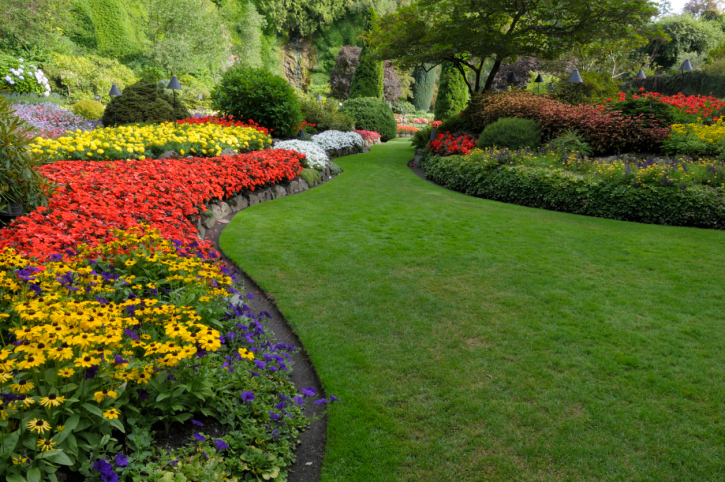 Creative Landscape Solutions Crafted To Transform Yards Into Stunning Outdoor Living Spaces