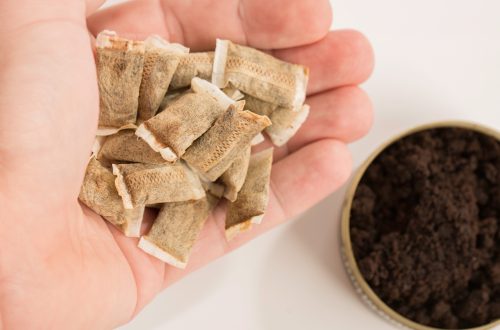nicotine pouch alternative